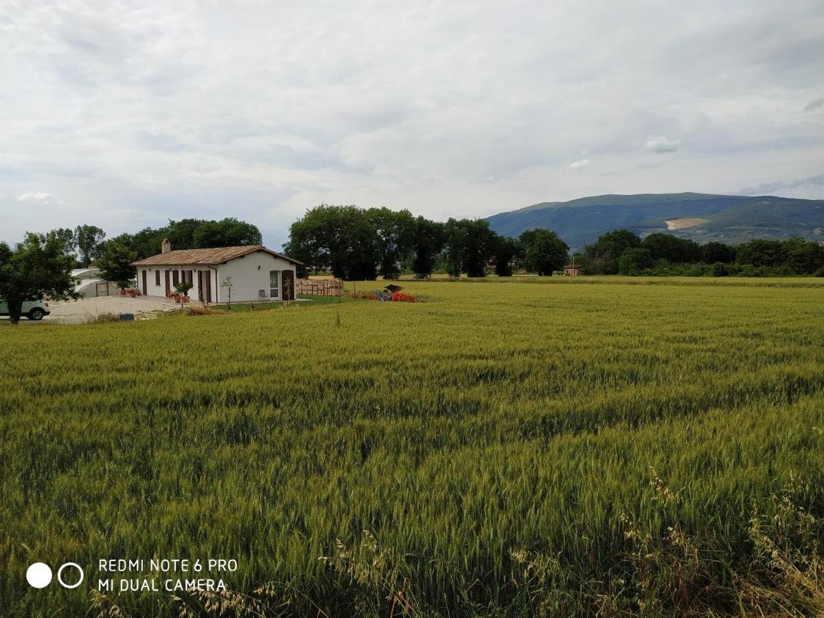 فيلا Agriturismo " Le Serre" سبيلّو المظهر الخارجي الصورة