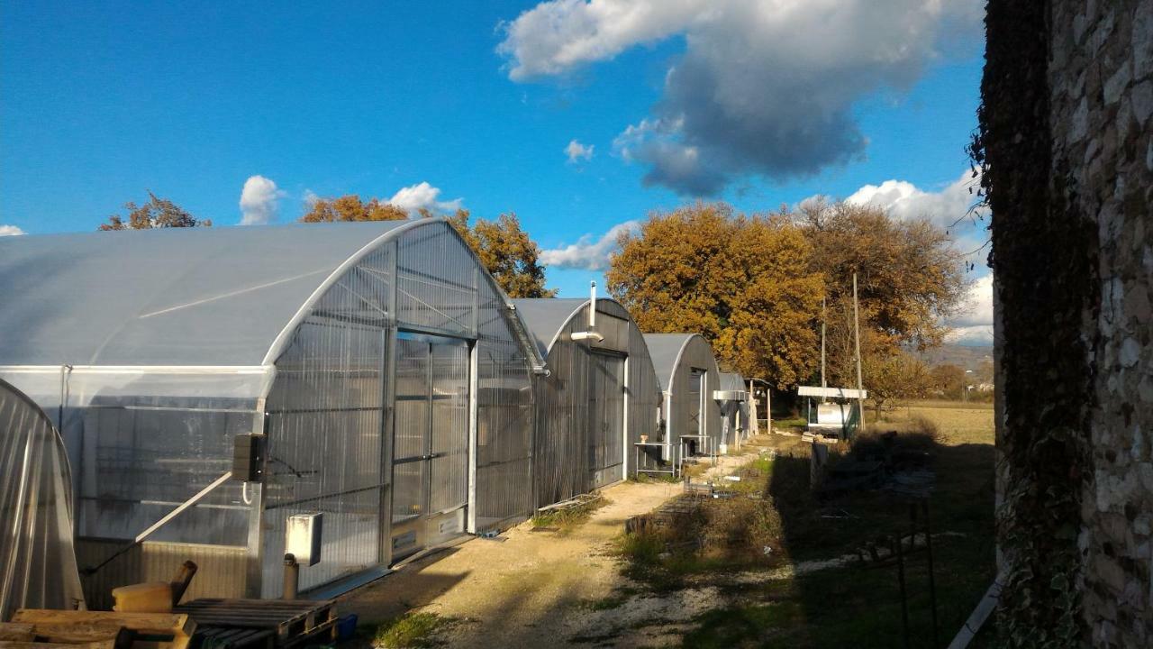 فيلا Agriturismo " Le Serre" سبيلّو المظهر الخارجي الصورة