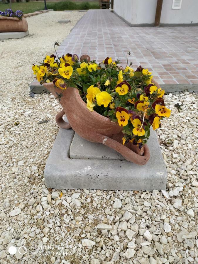 Agriturismo " Le Serre" سبيلّو المظهر الخارجي الصورة