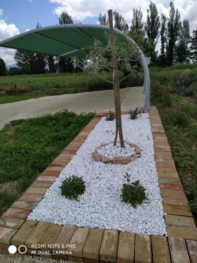 Agriturismo " Le Serre" سبيلّو المظهر الخارجي الصورة