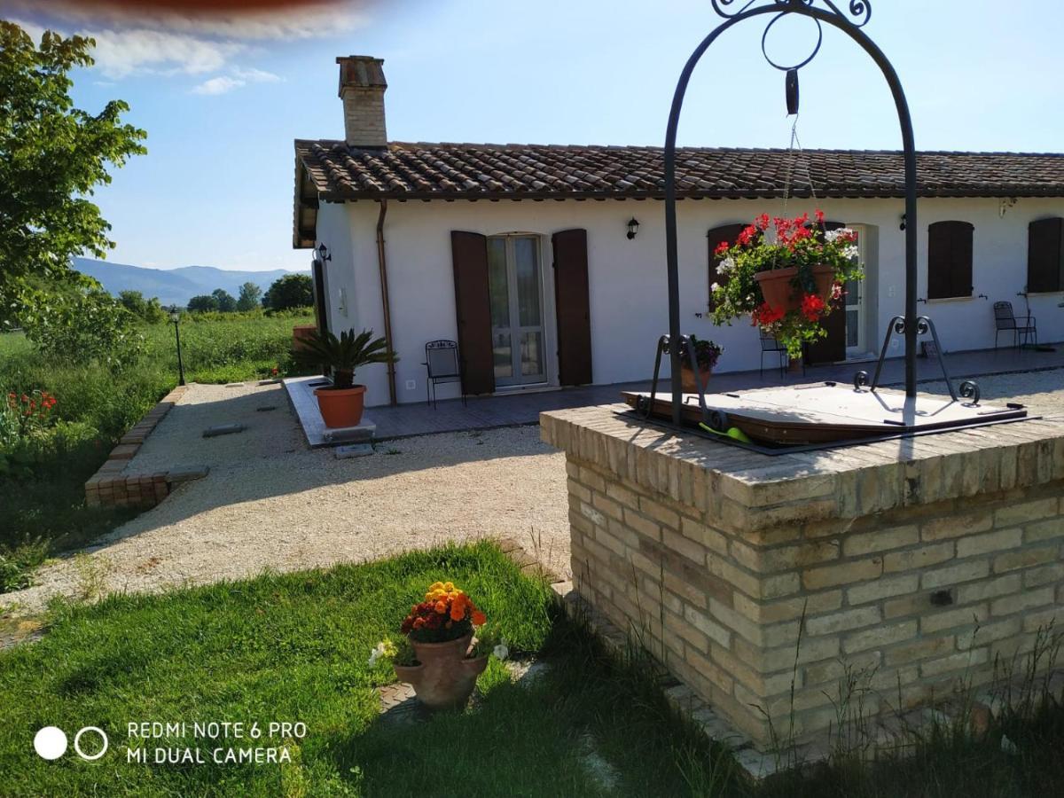 Agriturismo " Le Serre" سبيلّو المظهر الخارجي الصورة