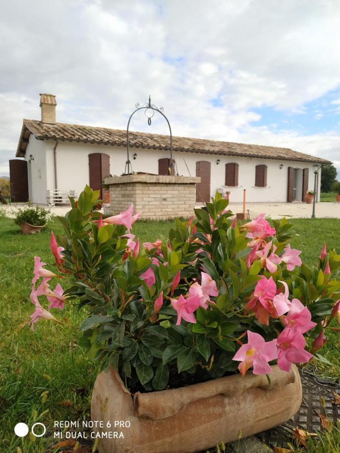 Agriturismo " Le Serre" سبيلّو المظهر الخارجي الصورة